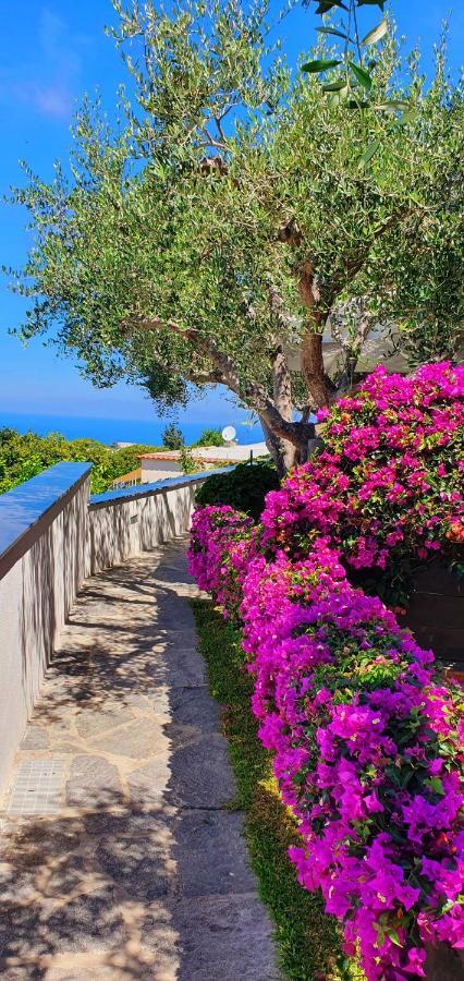 Appartamenti Luongo Forio (Isola d'Ischia) Exterior foto