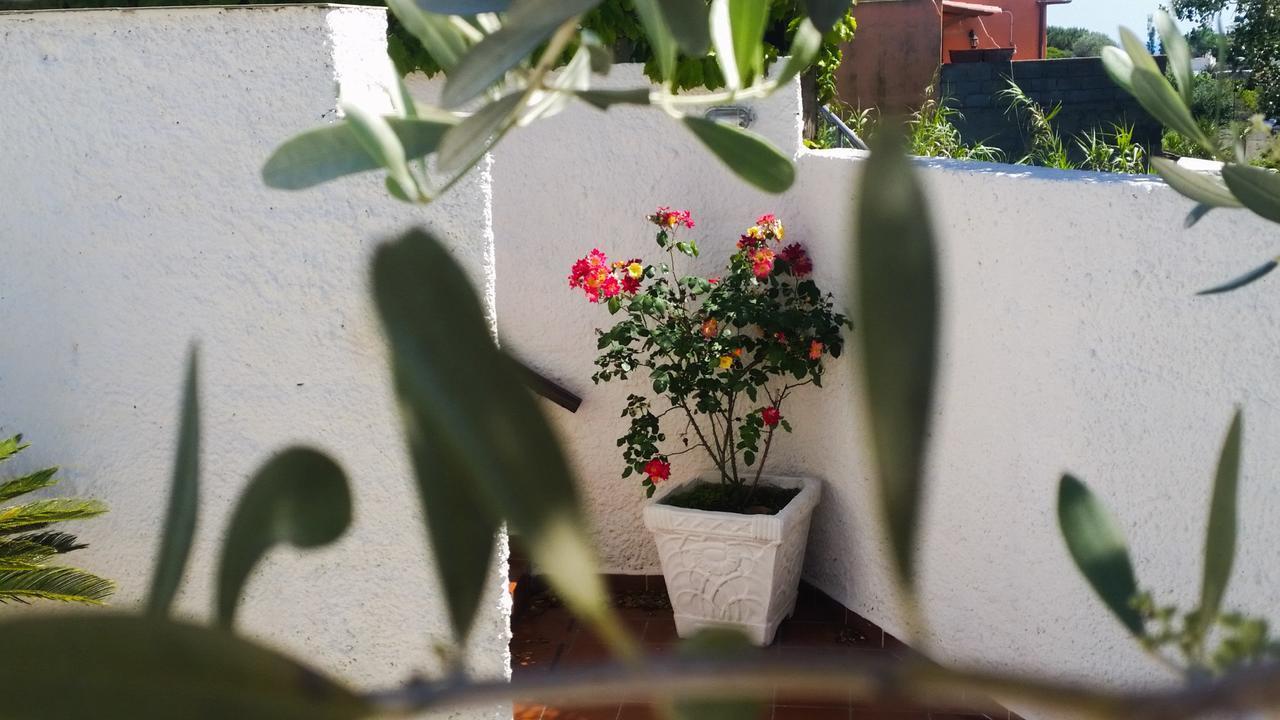 Appartamenti Luongo Forio (Isola d'Ischia) Exterior foto