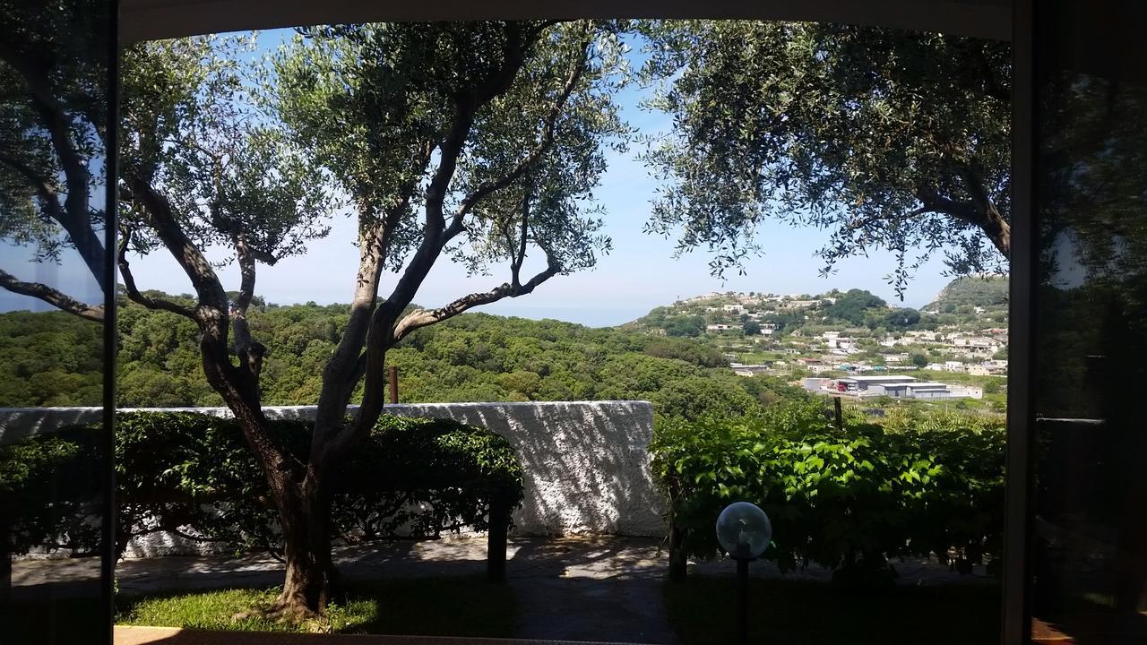 Appartamenti Luongo Forio (Isola d'Ischia) Exterior foto