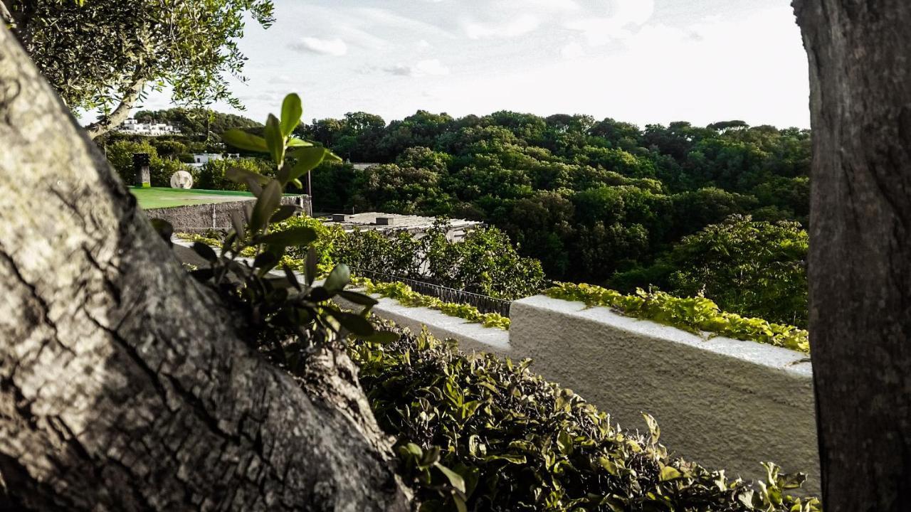 Appartamenti Luongo Forio (Isola d'Ischia) Exterior foto