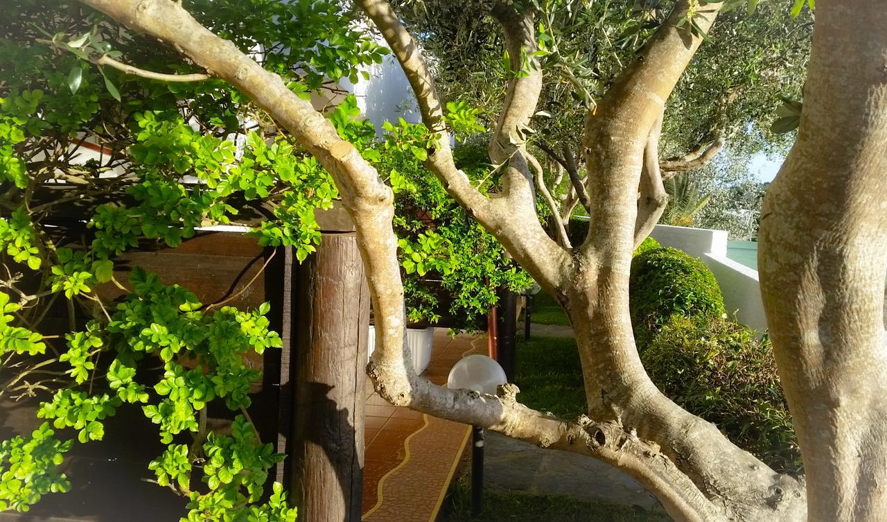Appartamenti Luongo Forio (Isola d'Ischia) Exterior foto