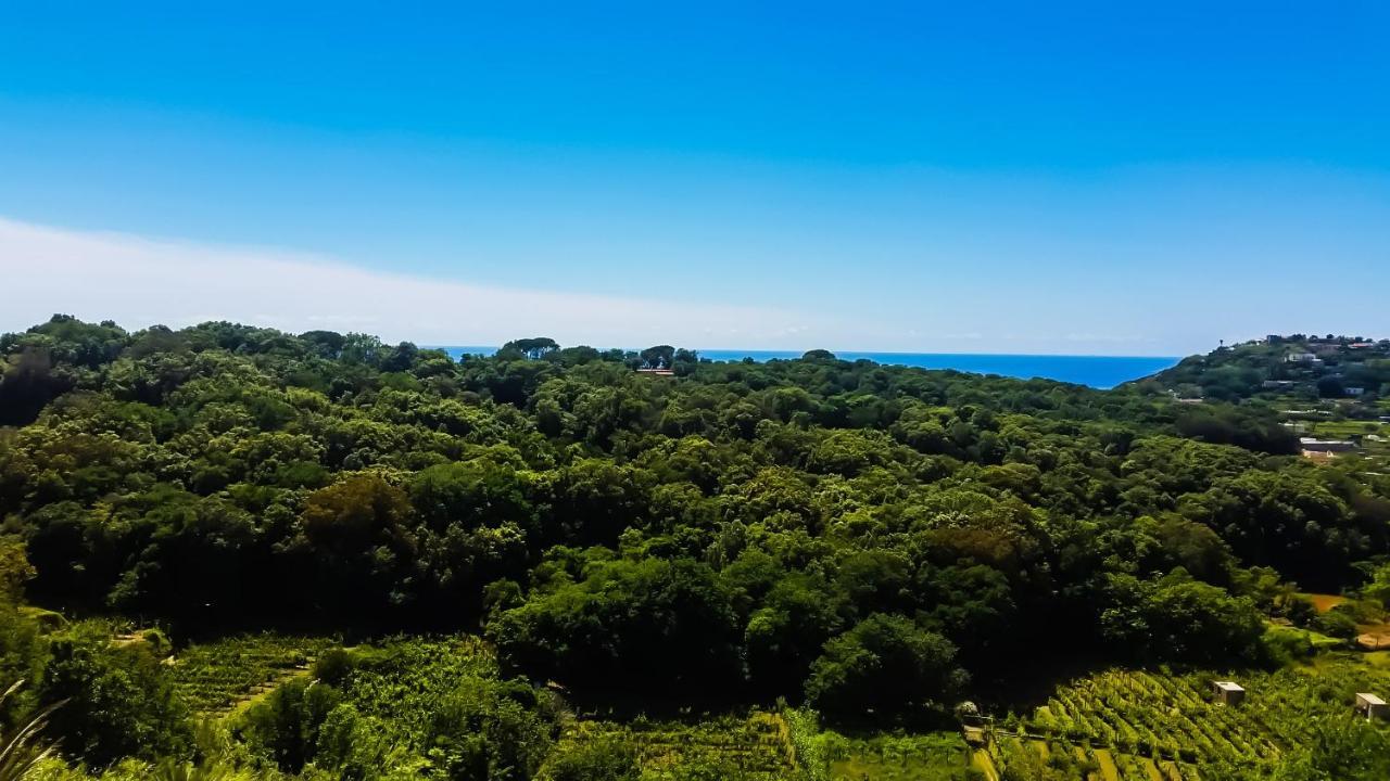 Appartamenti Luongo Forio (Isola d'Ischia) Exterior foto