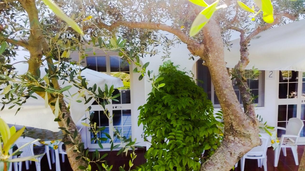Appartamenti Luongo Forio (Isola d'Ischia) Exterior foto