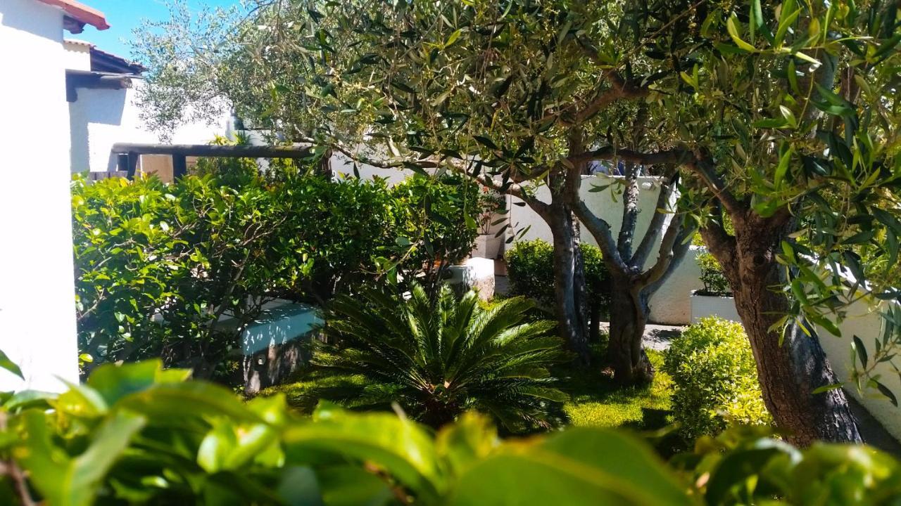 Appartamenti Luongo Forio (Isola d'Ischia) Exterior foto