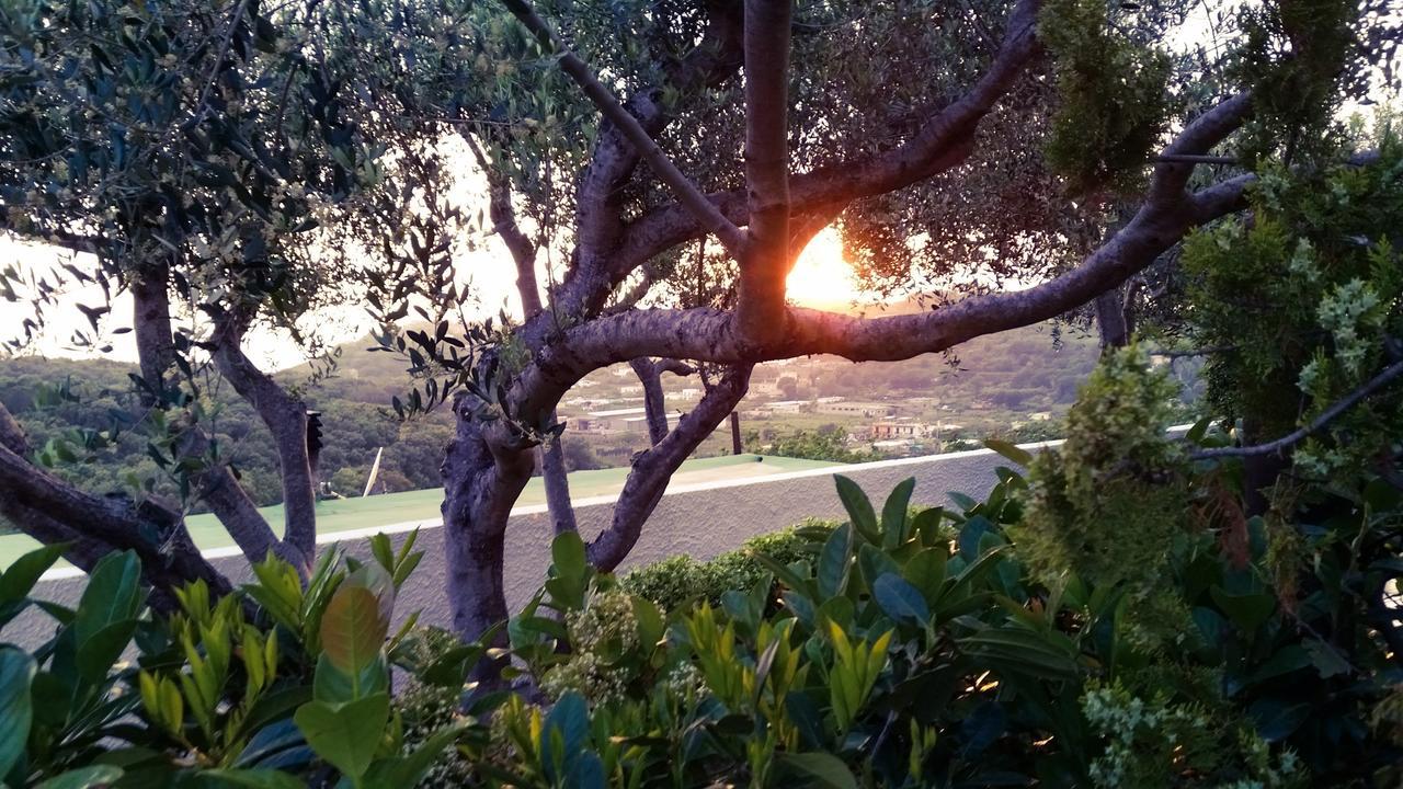 Appartamenti Luongo Forio (Isola d'Ischia) Exterior foto